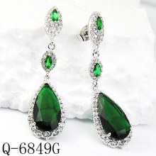 Latest Styles Earrings 925 Silver Jewelry (Q-6849G)